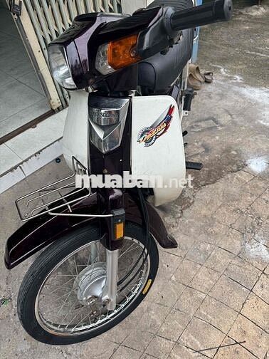 Honda Dream Thái Nâu, Trắng