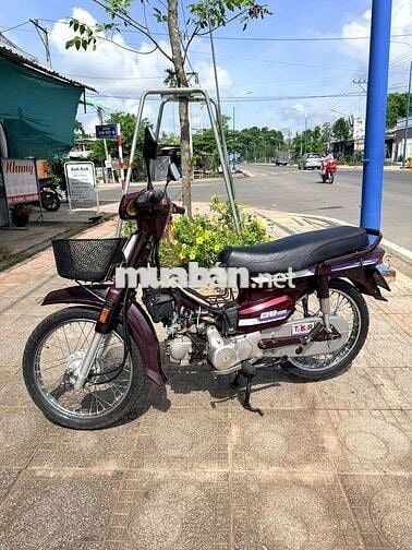 Honda Dream citi màu Đỏ mận biển số 61