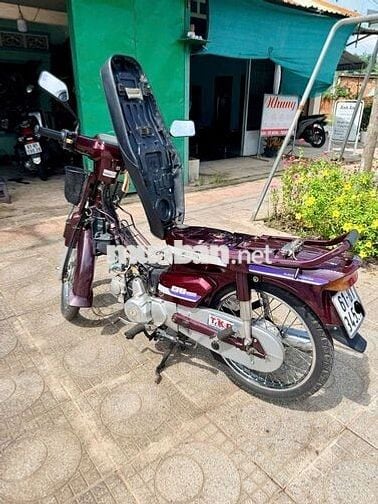 Honda Dream citi màu Đỏ mận biển số 61