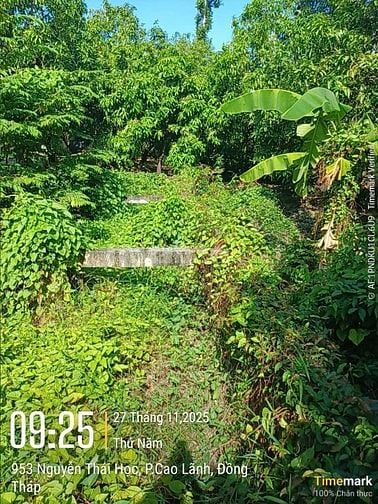 Chính chủ bán gấp lô đất đường Lò Rèn, Phường Hoà Thuận, Cao Lãnh
