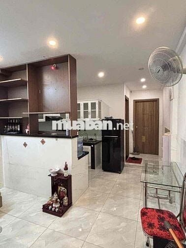 Chung cư Trần Quang Diệu đẹp Full nội thất, 48m2 1pn 1wc| Quận 3