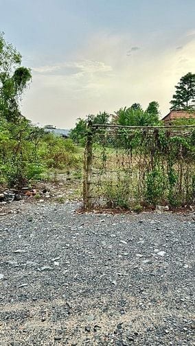 Cần gấp giảm 2,7tỷ Đất thổ cư 1000m2 ngay tỉnh lộ 7