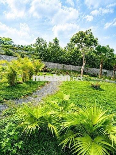 BÁN 863M ĐẤT THẠCH THẤT TIỆN XÂY BIỆT THỰ