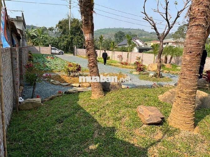 BÁN 863M ĐẤT THẠCH THẤT TIỆN XÂY BIỆT THỰ