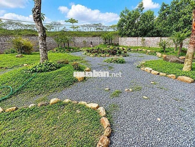 BÁN 863M ĐẤT THẠCH THẤT TIỆN XÂY BIỆT THỰ