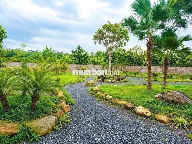 BÁN 863M ĐẤT THẠCH THẤT TIỆN XÂY BIỆT THỰ