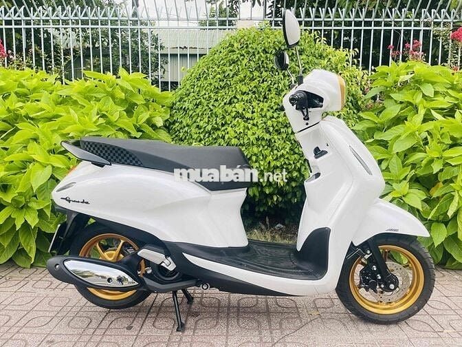 Grande 125ABS - dk 6/2026 -bstp chính chủ ký