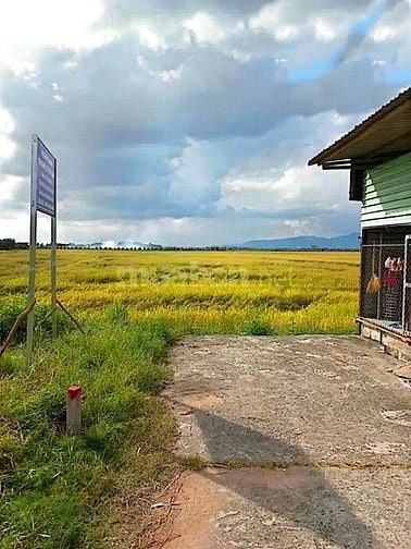 Công ty Đấu giá hợp danh Lam Sơn Sài Gòn thông báo đấu giá tài sản