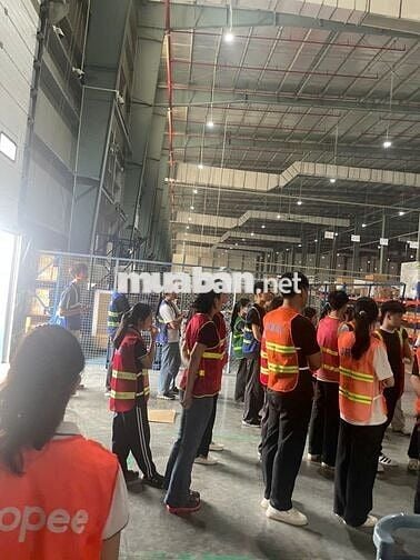 [GIA LÂM/ THUẬN AN] SHOPEE GẤP 10 NV KHO -VÀO NGAY