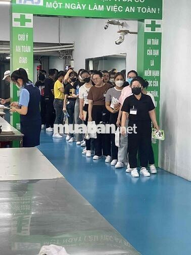 tuyển 200 Nam/nữ/tomboy làm điện tử hỗ trợ chỗ ở