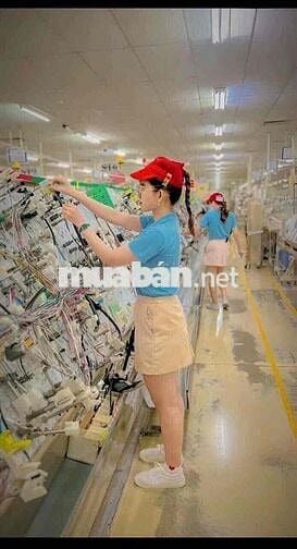 tuyển 200 Nam/nữ/tomboy làm điện tử hỗ trợ chỗ ở