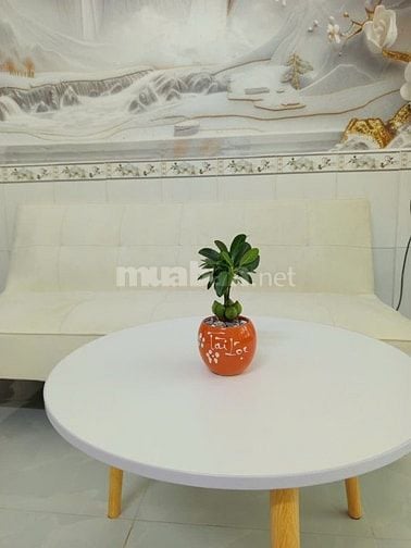 Cho thuê NR, mới, 2PN, 2WC, ĐS6, Bình Tân