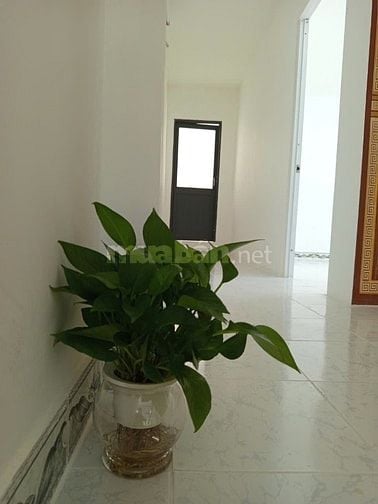 Cho thuê NR, mới, 2PN, 2WC, ĐS6, Bình Tân