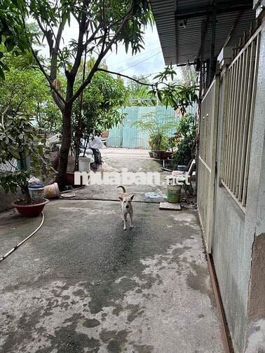Nhà cho thuê căn 2tr5 (cọc 1tr) gần ngã 3 chợ Nhơn Đức