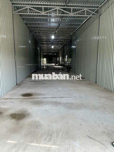 Cho thuê kho mới xây 300m2 Mặt tiền DT830, xã Long Định, Long An