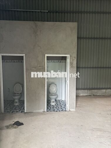 Cho thuê kho mới xây 300m2 Mặt tiền DT830, xã Long Định, Long An