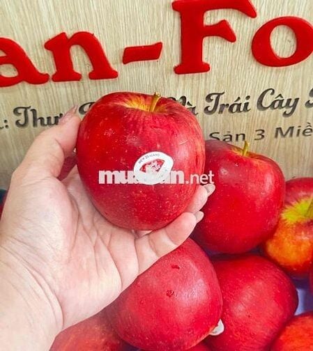 tuyển nhân viên bán và giao trái cây