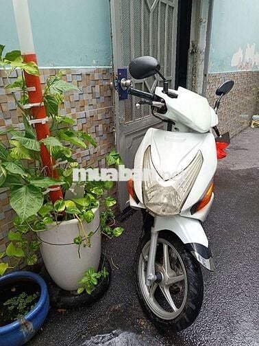 Honda Click 110 2009 Trắng