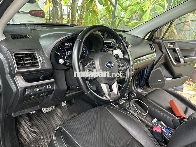 Subaru Forester XT Xanh Nhật Bản Xe gia đình