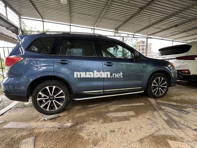 Subaru Forester XT Xanh Nhật Bản Xe gia đình