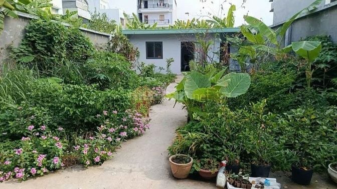 Bán nhanh đất nền Biệt Thự , đường 12m , Quận 2 cũ 