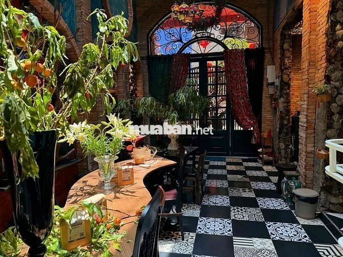 tuyển dụng Barista và phục vụ làm việc ca chiều q1