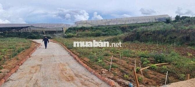 Bán Đất Nông Nghiệp Gần Hồ Xuân Hương