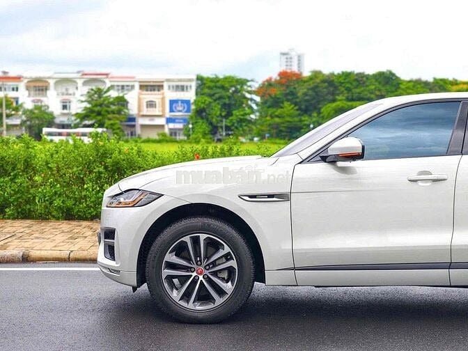 Jaguar F-Pace R-Sport 2019 Trắng 23.456 km