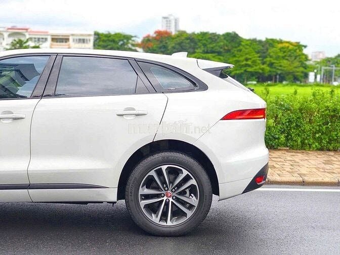 Jaguar F-Pace R-Sport 2019 Trắng 23.456 km