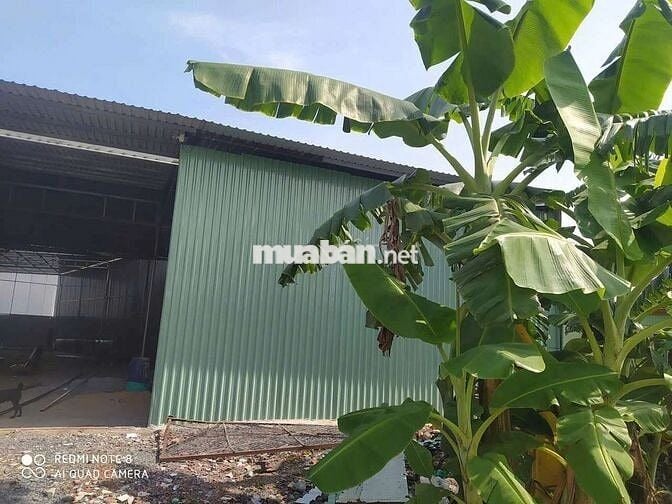 Xưởng Dĩ An 1500m² xưởng 900m giá 30tr đường cont sẵn 3fa
