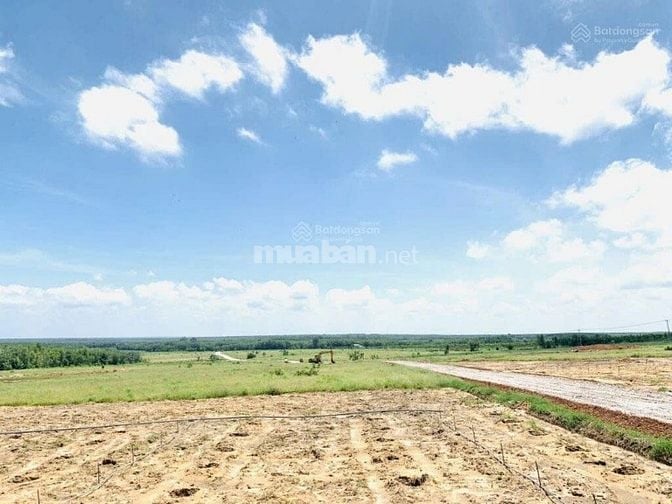 BÁN 40 HA ĐẤT QUY HOẠCH ĐẤT Ở NÔNG THÔN – VEN HỒ DẦU TIẾNG