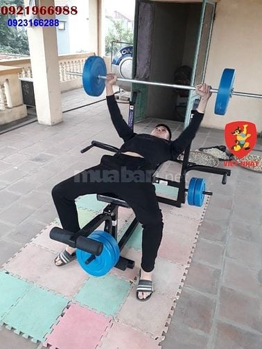 Bán ghế tập tạ tại nhà  Ghế tập tạ nhỏ gọn 