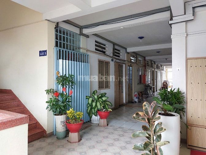 CHO THUÊ CĂN HỘ 1PN TRUNG TÂM QUẬN 1 – 7 Triệu/tháng – CHÍNH CHỦ