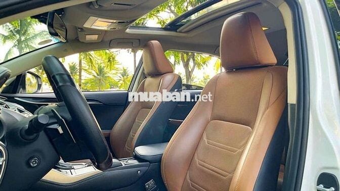 Lexus NX300 2019 Trắng 90.000 km