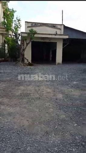 Cho thuê mặt tiền Huỳnh Tấn Phát 9m x 33m gần Chùa Bà Châu Đốc 2
