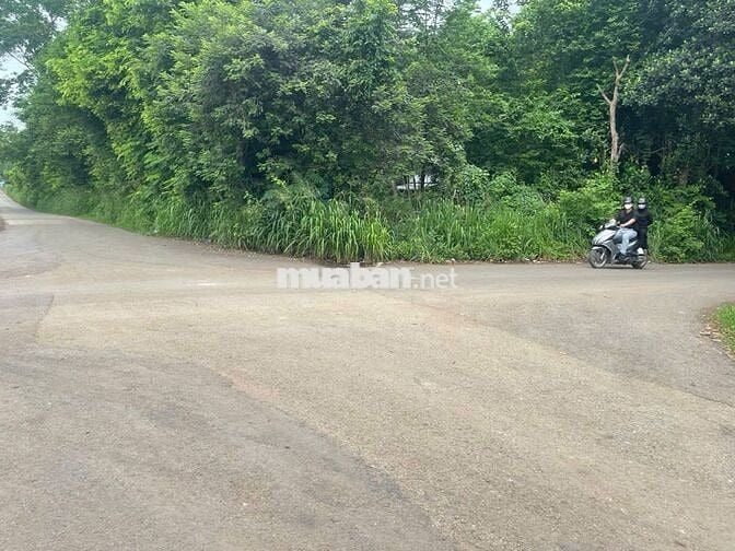 KHU PHỐ ĐÔNG HÒA MỚI, XÃ HƯNG THỊNH, TP. ĐỒNG NAI Chỉ 680tr