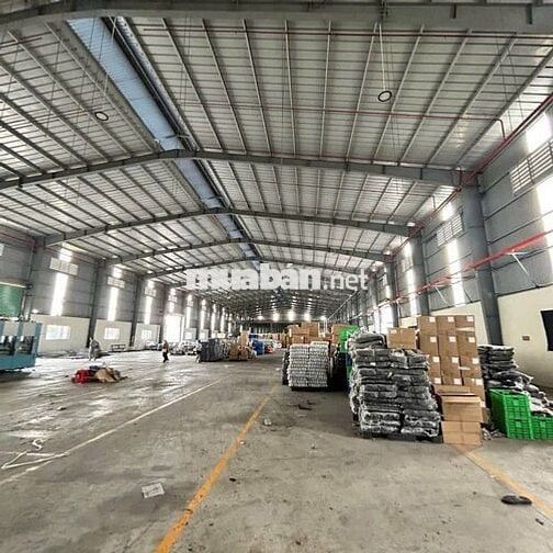 Cho Thuê Kho Chứa Hàng 1.800m² Tại Bình Tân – PCCC Đầy Đủ 