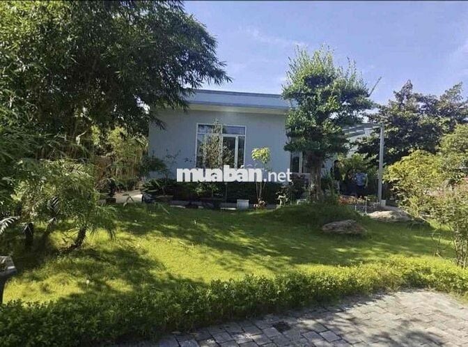 Chủ chơi wolrd cup bể nợ bán căn nhà vườn 1000m2 có 100m2 thổ cư
