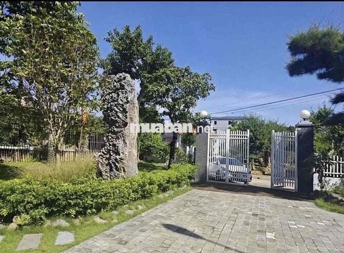 Chủ chơi wolrd cup bể nợ bán căn nhà vườn 1000m2 có 100m2 thổ cư