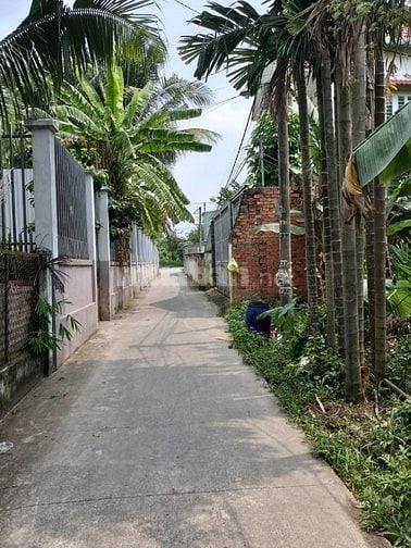 Bán đất Thổ cư-rộng 9.3m-gần Bùi Công Trừng- hẻm ô tô- nhỉnh 4 tỷ