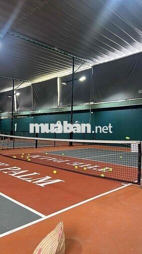Tuyển dụng nhân viên sân Pickleball