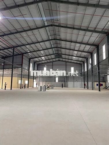 Cho Thuê Kho/Xưởng 3.700m² Tại Trần Đại Nghĩa, Xã Tân Nhựt, TP.HCM