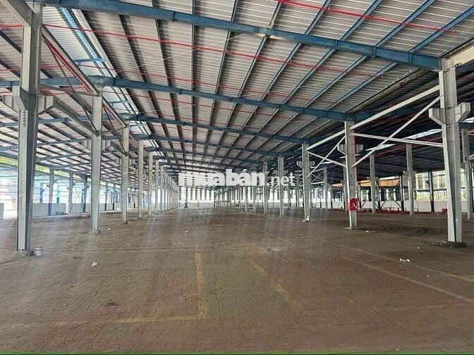 Cho Thuê Kho/Xưởng 3.700m² Tại Trần Đại Nghĩa, Xã Tân Nhựt, TP.HCM