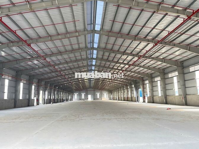 Cho Thuê Kho Xưởng 1.800m² Tại Bình Chánh – Có Văn Phòng