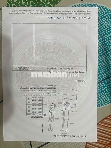 Cần bán nhà nát mặt tiền đường 12m Nguyễn Thị Tuôi Vĩnh Lộc A