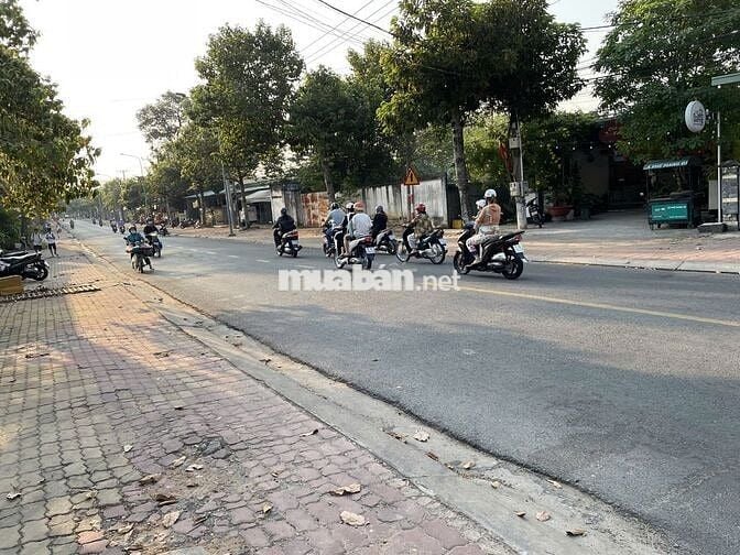 Cho thuê MB kinh doanh kho bãi 