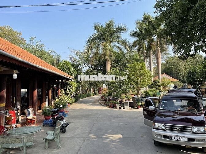 Cho thuê MB kinh doanh kho bãi 