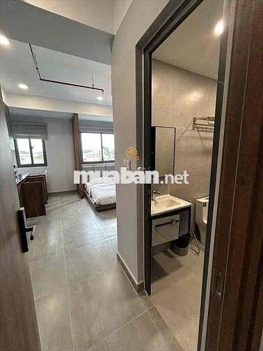 STUDIO CAO CẤP NGAY TÂN SƠN NHÌ - TÂN HƯƠNG - GÒ DẦU - AEON MALL
