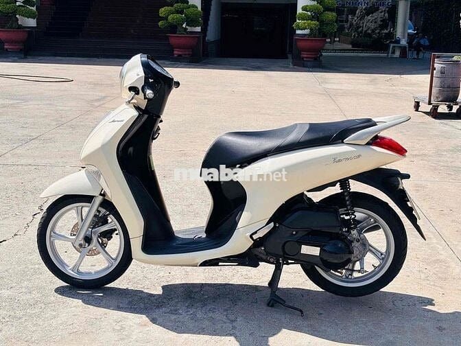 Yamaha Janus 2020