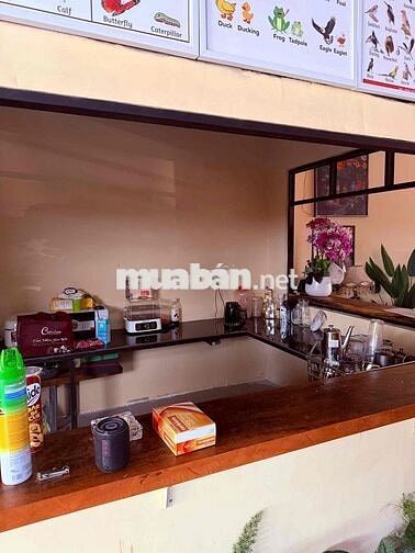 CHÍNH CHỦ GIẢM NGAY 500tr - MẶT TIỀN NGUYỄN TRI PHƯƠNG - ĐÃ CÓ SỔ